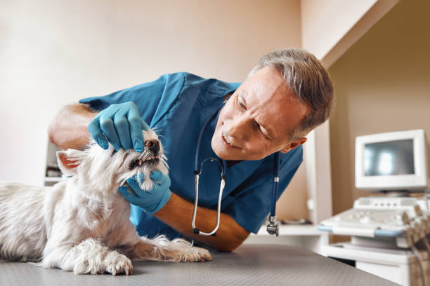 Best After-Hours Emergency Dentist in Salida, CA